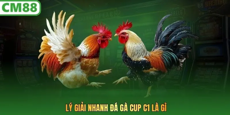 Lý giải nhanh đá gà Cup C1 là gì