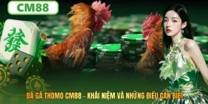 Đá Gà Thomo CM88: Khái Niệm Và Những Điều Bet Cần Biết